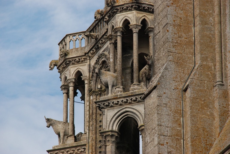 boeufs-de-la-cathédrale-Notre-Dame-de-Laon