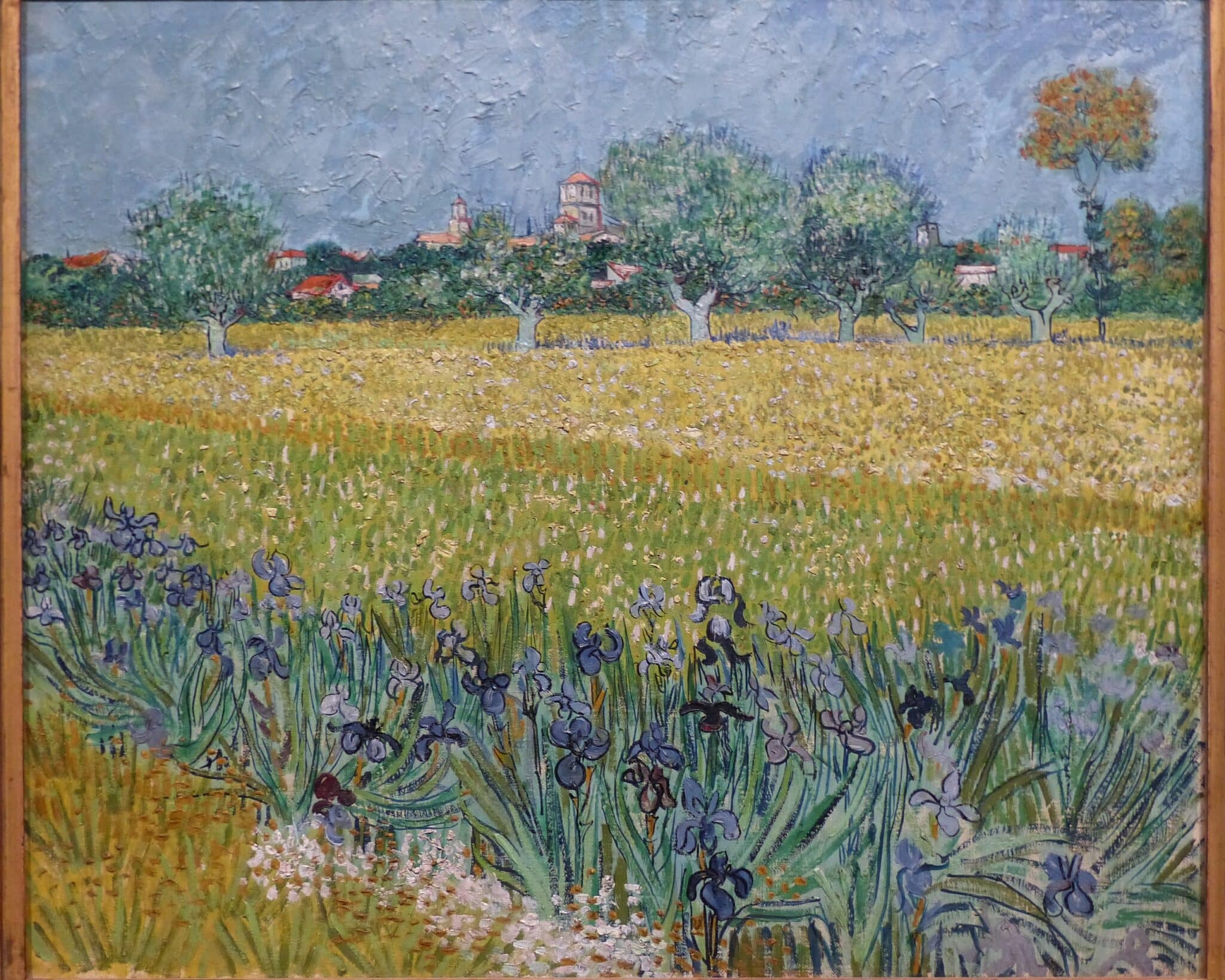 Tableau "Champs d'Iris à Arles" par Vincent Van Gogh