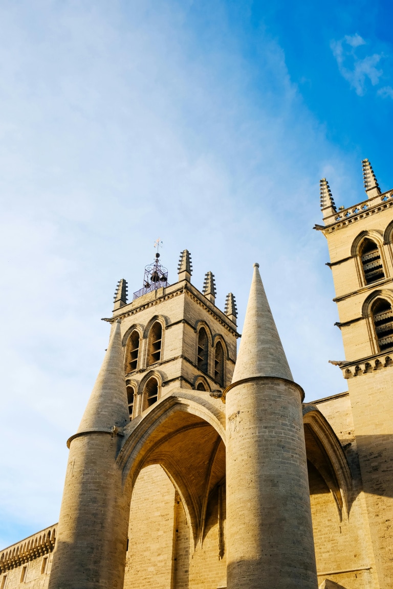 visite-guidee-cathedrale-saint-pierre