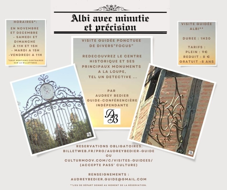 albi-avec-minutie-et-precision-1