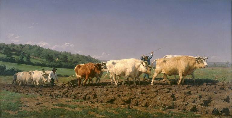 rosa-bonheur-labourage-nivernais-1849-musee-d-orsay